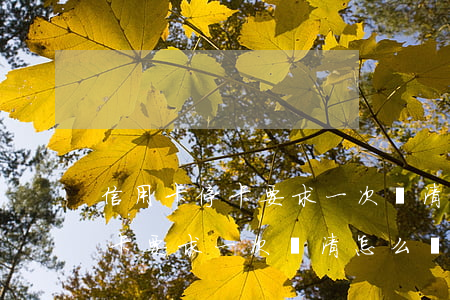 信用卡停卡要求一次還清怎么辦-信用卡?？ㄒ笠淮芜€清怎么辦理