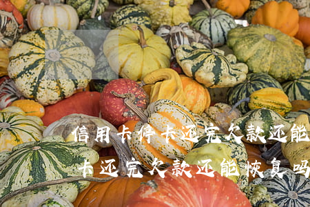 信用卡停卡还完欠款还能恢复吗-信用卡停卡还完欠款还能恢复吗知乎