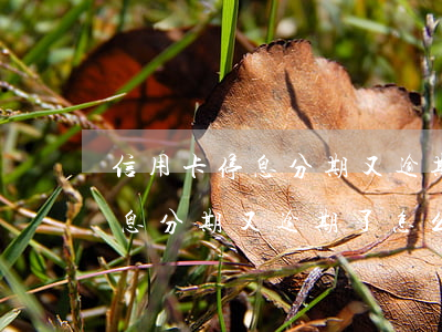 信用卡停息分期又逾期了怎么辦-信用卡停息分期又逾期了怎么辦理