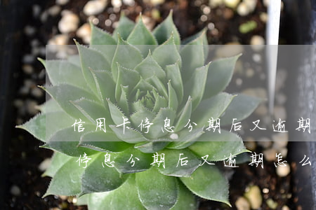 信用卡停息分期后又逾期怎么辦呢-信用卡停息分期后又逾期怎么辦呢怎么處理