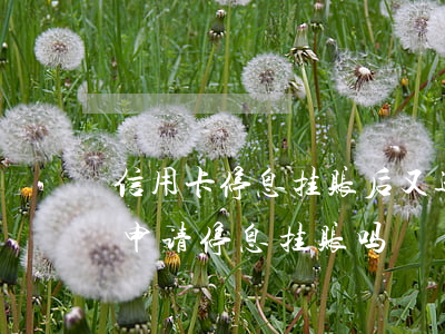信用卡停息挂账后又逾期咋办(欠信用卡可以申请停息挂账吗)