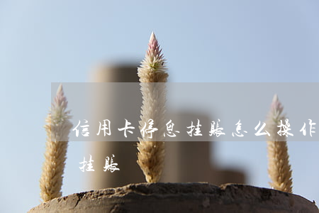信用卡停息挂账怎么操作(信用卡怎样办停息挂账)