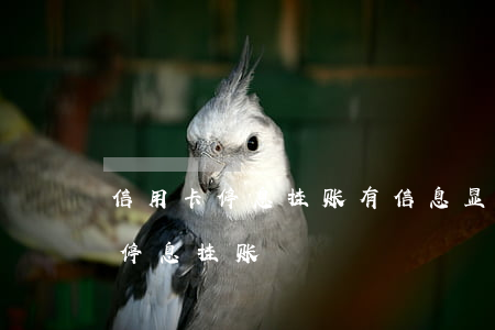 信用卡停息挂账有信息显示吗光大-信用卡 停息挂账