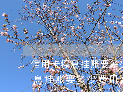 信用卡停息挂账要多少费用合适-信用卡停息挂账要多少费用合适呢