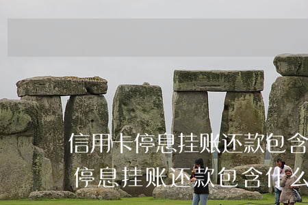 信用卡停息挂账还款包含什么费用-信用卡停息挂账还款包含什么费用呢