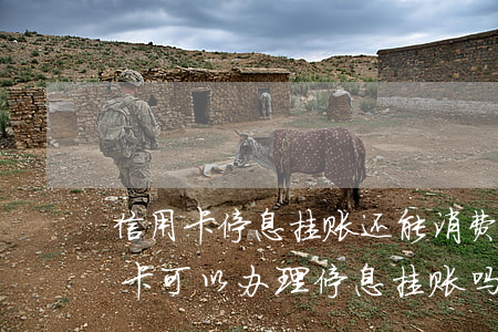 信用卡停息挂账还能消费么(已经分期的信用卡可以办理停息挂账吗?)