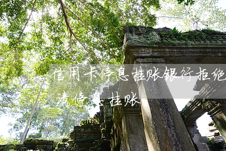 信用卡停息挂账银行拒绝(信用卡是否可以申请停息挂账)
