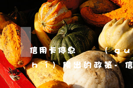 信用卡停息掛帳國(guó)家什么時(shí)候出的政策-信用卡停息掛帳國(guó)家什么時(shí)候出的政策啊