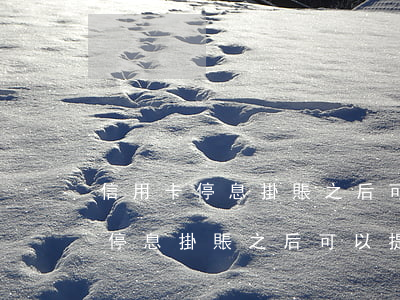 信用卡停息掛賬之后可以提前還嗎-信用卡停息掛賬之后可以提前還嗎