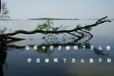信用卡停息掛賬了怎么查不到信息-信用卡停息掛賬了怎么查不到信息了