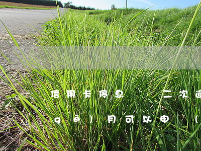 信用卡停息掛賬二次逾期(信用卡逾期三個(gè)月可以申請(qǐng)停息掛賬嗎)
