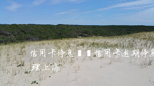 信用卡 停息掛賬（信用卡逾期停息掛賬怎么辦理上海）