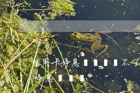 信用卡停息掛賬償還不了(信用卡還不起可以停息掛賬嗎)