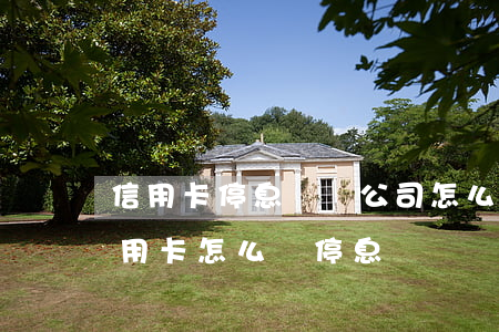 信用卡停息掛賬公司怎么收費(fèi)(信用卡怎么樣停息掛賬)