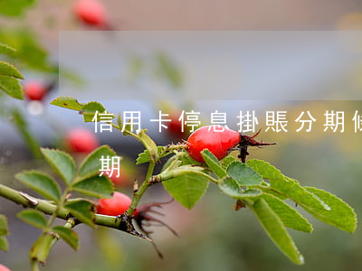 信用卡停息掛賬分期條款(信用卡申請停息分期)