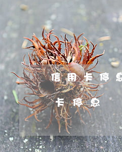 信用卡停息掛賬分期還款忘了怎么辦-信用卡停息掛賬分期還款忘了怎么辦理