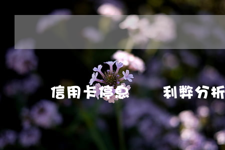 信用卡停息掛賬利弊分析