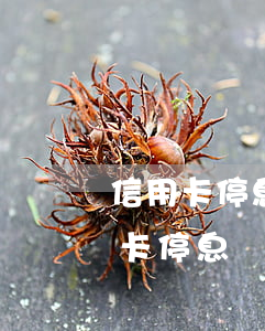 信用卡停息掛賬又逾期怎么辦上海-欠信用卡停息掛賬