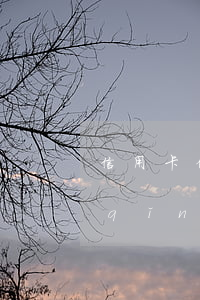 信用卡停息掛賬又逾期(欠信用卡可以申請(qǐng)停息掛賬嗎)