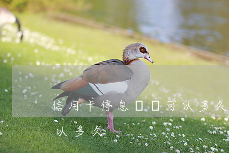 信用卡停息掛賬可以多久(信用卡停息掛賬可以多久)