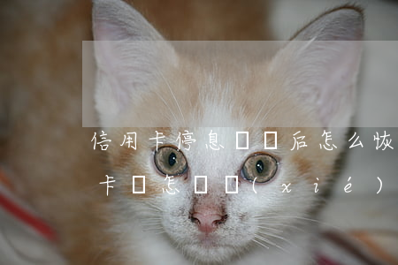 信用卡停息掛賬后怎么恢復(fù)(欠信用卡錢怎樣協(xié)商停息掛賬)