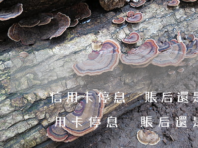 信用卡停息掛賬后還是無力償還怎么辦-信用卡停息掛賬后還是無力償還怎么辦呢