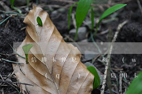 信用卡停息掛賬和網(wǎng)貸有什么區(qū)別-信用卡停息掛賬和網(wǎng)貸有什么區(qū)別嗎