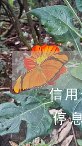 信用卡停息掛賬對征信有什么影響-信用卡 停息掛賬