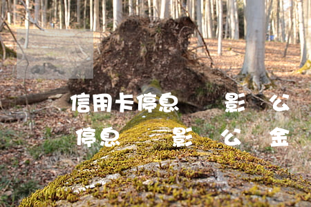 信用卡停息掛賬影響公積金貸款嗎-信用卡停息掛賬影響公積金貸款嗎