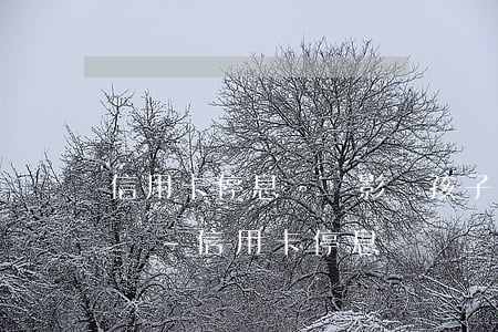 信用卡停息掛賬影響孩子上大學(xué)嗎-信用卡 停息掛賬