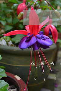 信用卡停息掛賬影響房貸嗎(有房貸可以申請(qǐng)停息掛賬嗎)