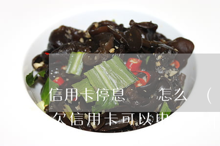 信用卡停息掛賬怎么協(xié)商延期-欠信用卡可以申請(qǐng)停息掛賬嗎