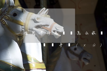 信用卡停息掛賬怎么收費(fèi)(信用卡停息掛賬手續(xù)費(fèi)怎么算)
