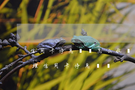 信用卡停息掛賬怎么收費(fèi)(怎么辦理信用卡停息掛賬)