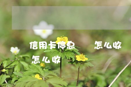 信用卡停息掛賬怎么收費-信用卡停息掛賬怎么收費