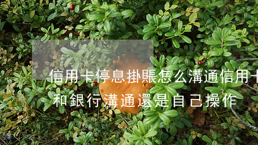 信用卡停息掛賬怎么溝通(信用卡停息掛賬是和銀行溝通還是自己操作)