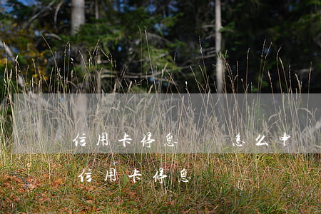 信用卡停息掛賬怎么申請版本-怎么樣申請信用卡停息掛賬