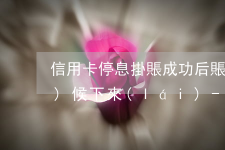 信用卡停息掛賬成功后賬單什么時(shí)候下來(lái)-信用卡 停息掛賬