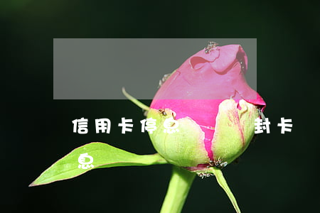 信用卡停息掛賬會封卡嗎(信用卡可不可以停息掛賬)