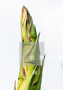信用卡停息掛賬有什么后果(信用卡停息掛賬有什么后果)