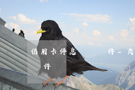 信用卡停息掛賬條件-交通信用卡停息掛賬條件