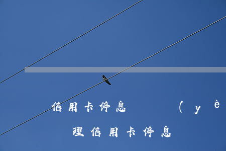 信用卡停息掛賬業(yè)務(wù)加盟(辦理信用卡停息掛賬)