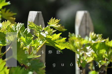 信用卡停息掛賬申請(qǐng)最新辦法中國(guó)-2020年信用卡停息掛賬申請(qǐng)辦法