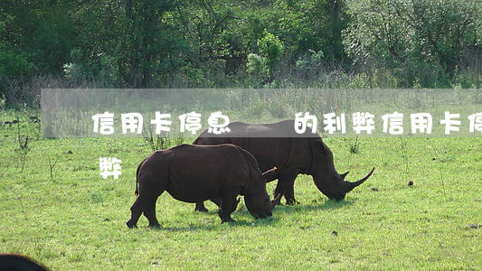 信用卡停息掛賬的利弊(信用卡停息掛賬的利弊)