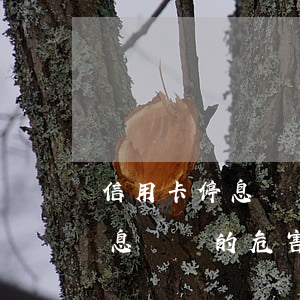 信用卡停息掛賬的危害有哪些呢-信用卡停息掛賬的危害有哪些呢圖片