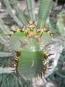 信用卡停息掛賬的四大條件(有誰(shuí)申請(qǐng)過(guò)信用卡掛卡停息)