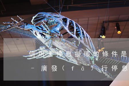 信用卡停息掛賬的條件是什么廣發(fā)-廣發(fā)行停息掛賬