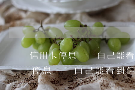 信用卡停息掛賬自己能看到信息嗎-信用卡停息掛賬自己能看到信息嗎安全嗎