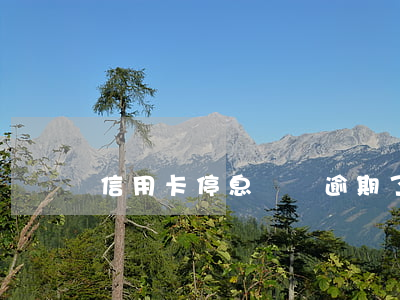 信用卡停息掛賬逾期了怎么辦