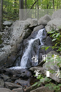 信用卡停息掛賬違約后果(信用卡停息掛賬政策,還有違約金嗎)